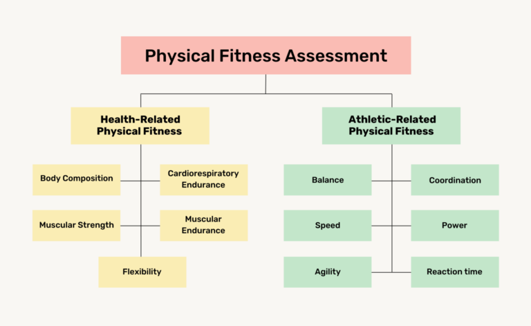 Physical Fitness Assessment